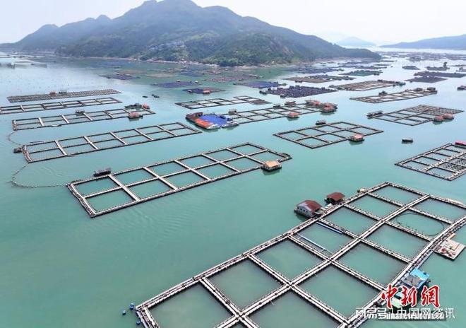 产学研融合发展 宁德水产种业“芯”突破